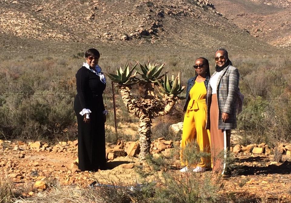 The Aloe Tree planted in Honour of Madiba Thembekile Mandela